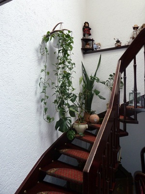 Treppe kleiner